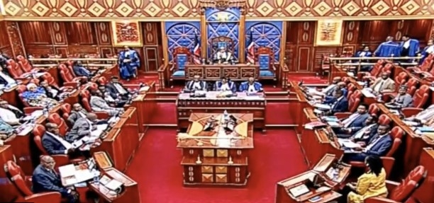 Governor Mutai ouster: 8 lawyers representing Kericho Assembly