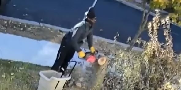 Kenyan man shot by white neighbour in Minneapolis