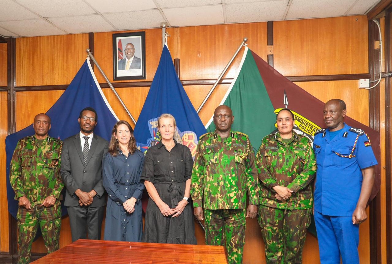 UNDP pledges to support implementation of police reforms
