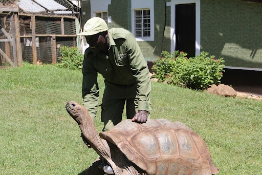 World Animal Protection calls for urgent action on food systems ahead of World Food Day