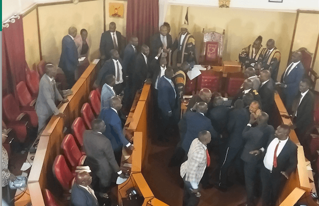 Nandi Assembly Voting Session Turns Chaotic As Ayes Sensed Defeat