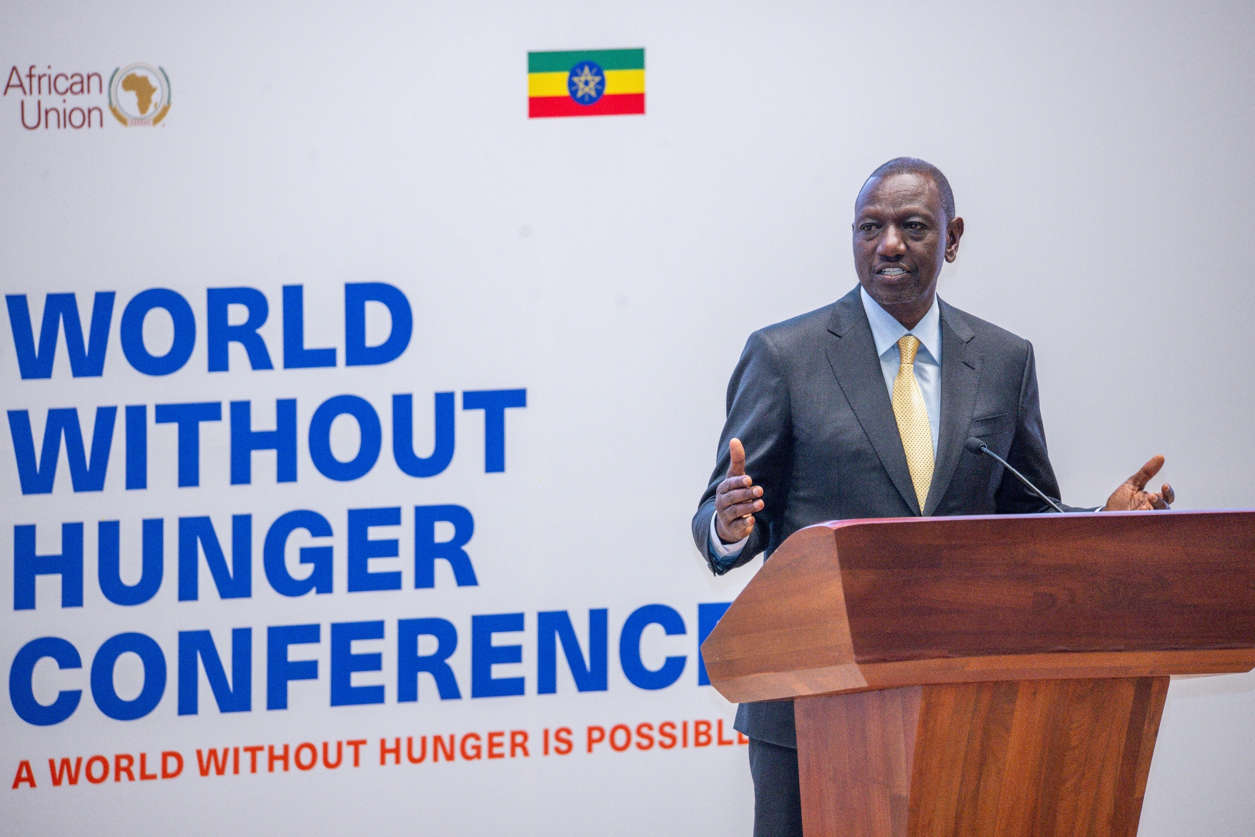 We must develop tailored agricultural systems to end hunger – Ruto