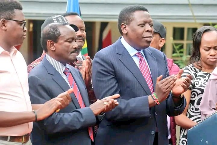 New finance bill recipe for chaos, Kalonzo warns