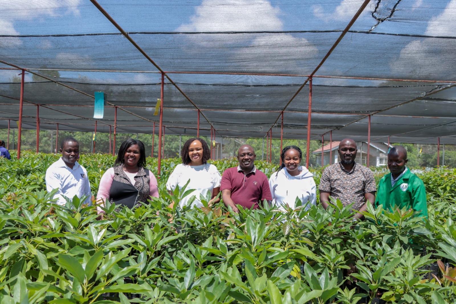 Kenya gears to host contract farming conference