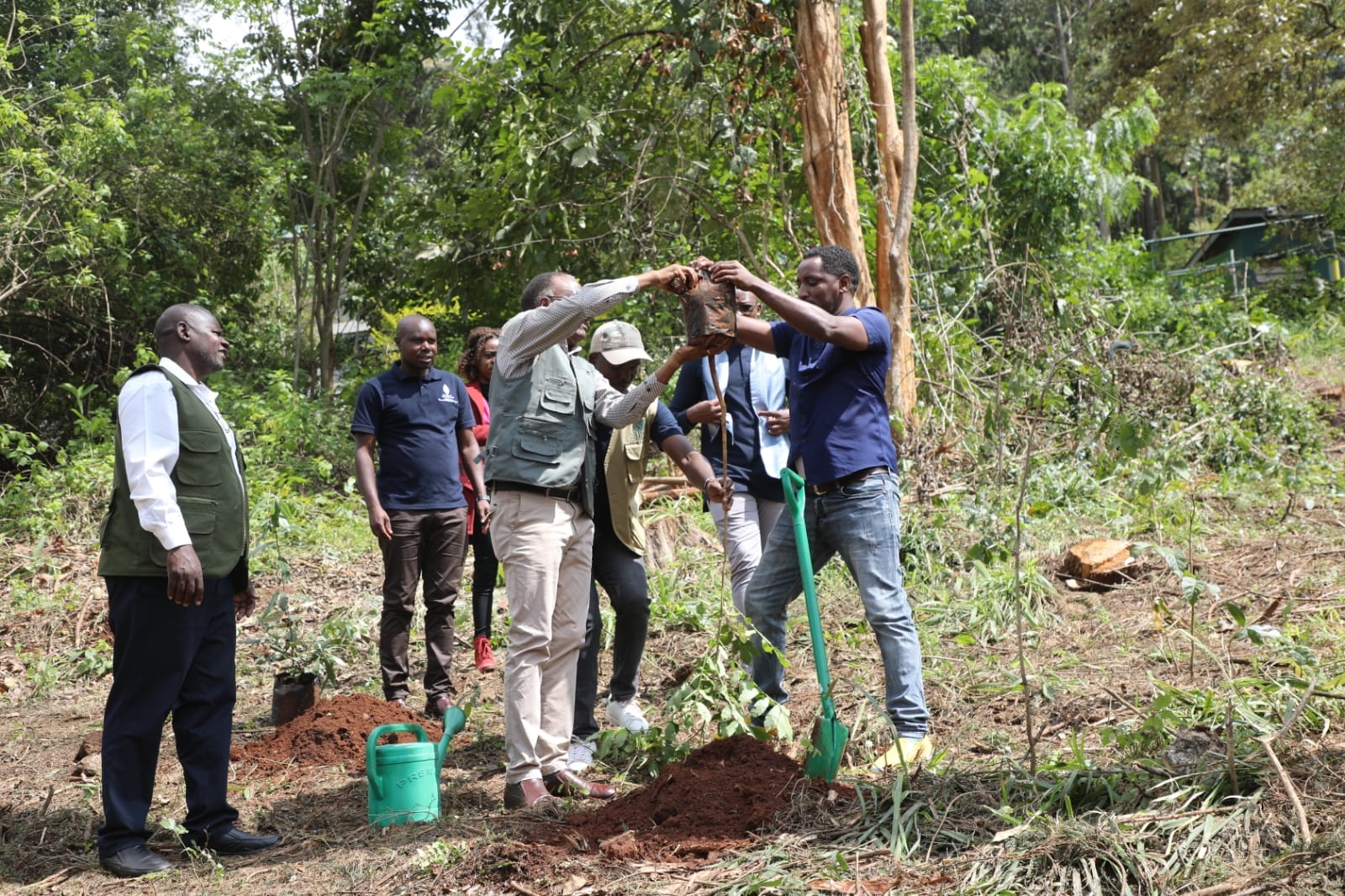 Removal of exotic trees from Karura Forest within law – Duale