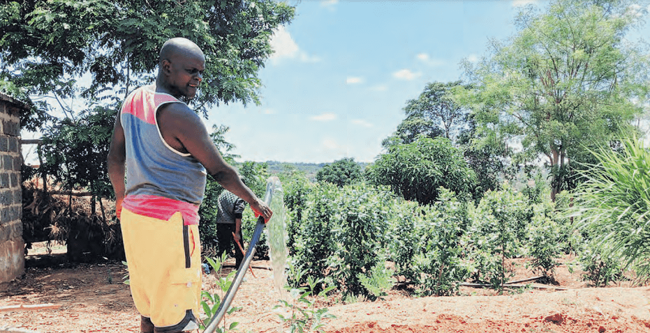 How Machakos farmers are thriving through dry spell