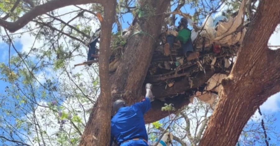 Machakos: Cop rescues man from his tree ‘house’