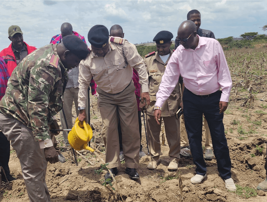 Narok : Need for consolidated approach to boost tree cover