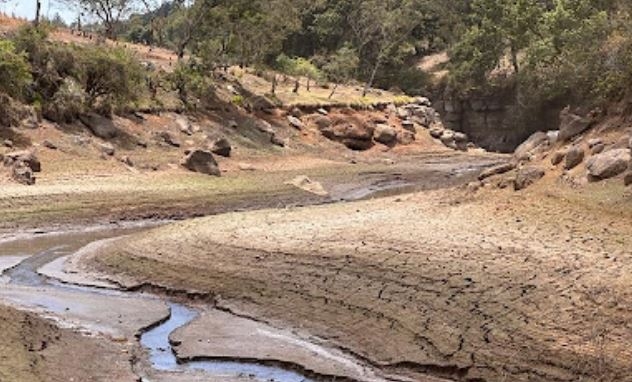 Farmers in Nyeri stare at failed harvests as short rains subside