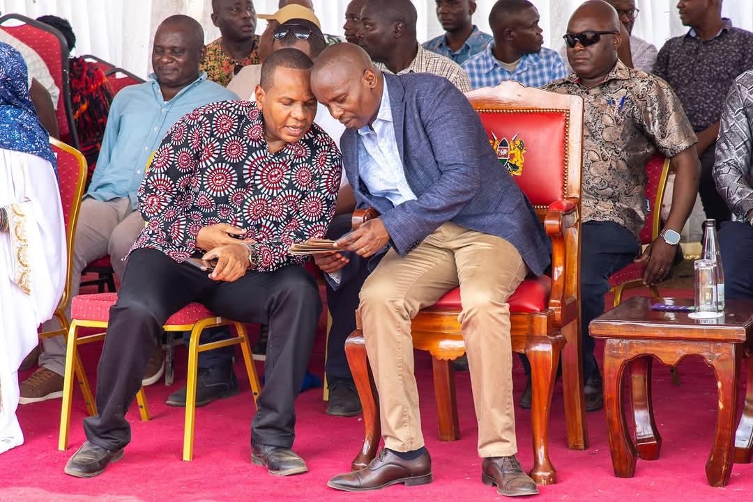 DP: State to deploy 200 police reservists in Tana River