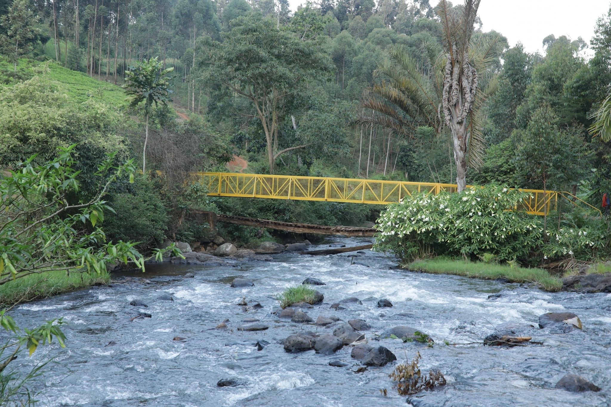 How African traditions are helping preserve biodiversity