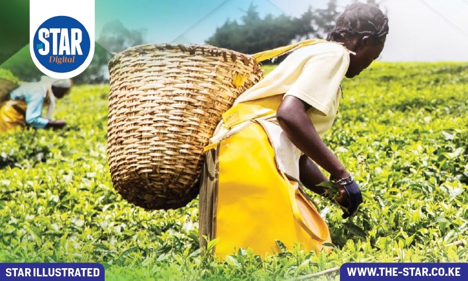 Counties leading in contribution to agriculture sector(2019-2023)