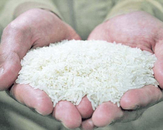 State pushes fortification of rice to curb malnutrition