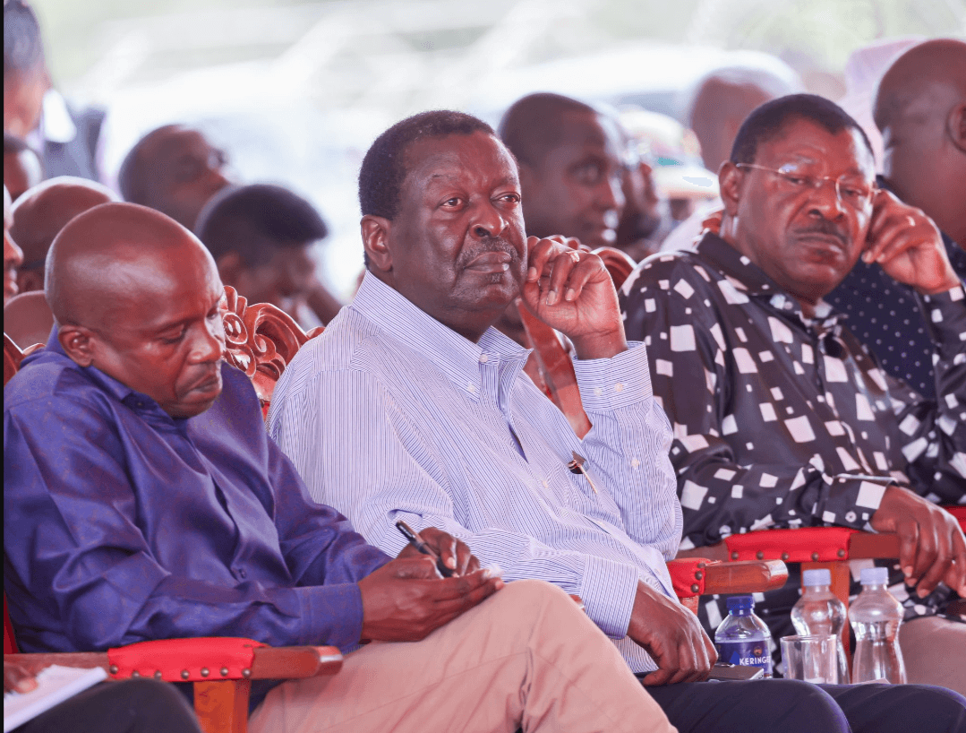 Mudavadi: Regional peace key to Kenya’s growth