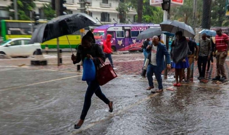Leverage good rains to maximise water harvest, crop production - Farmers told