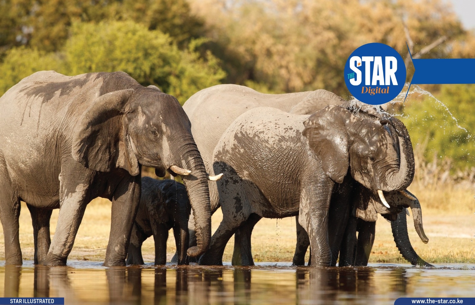 Google Maps: Most reviewed Parks in Kenya