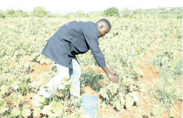Red Cross transforms lives of Tana River, Kilifi flood victims