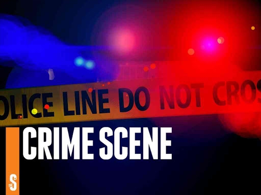 CRIMES OF THE WEEK: Businessman shot dead, game traffickers nabbed