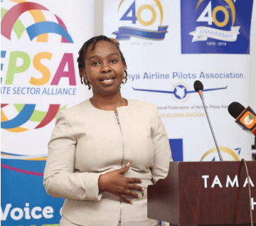 Tourism Federation urges remedial action in ETA issuance