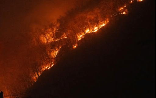 At least 18 dead in 'worst wildfires' in South Korea's history