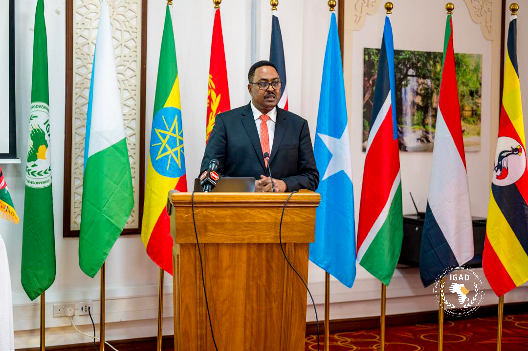 IGAD alarmed by escalating tensions in South Sudan