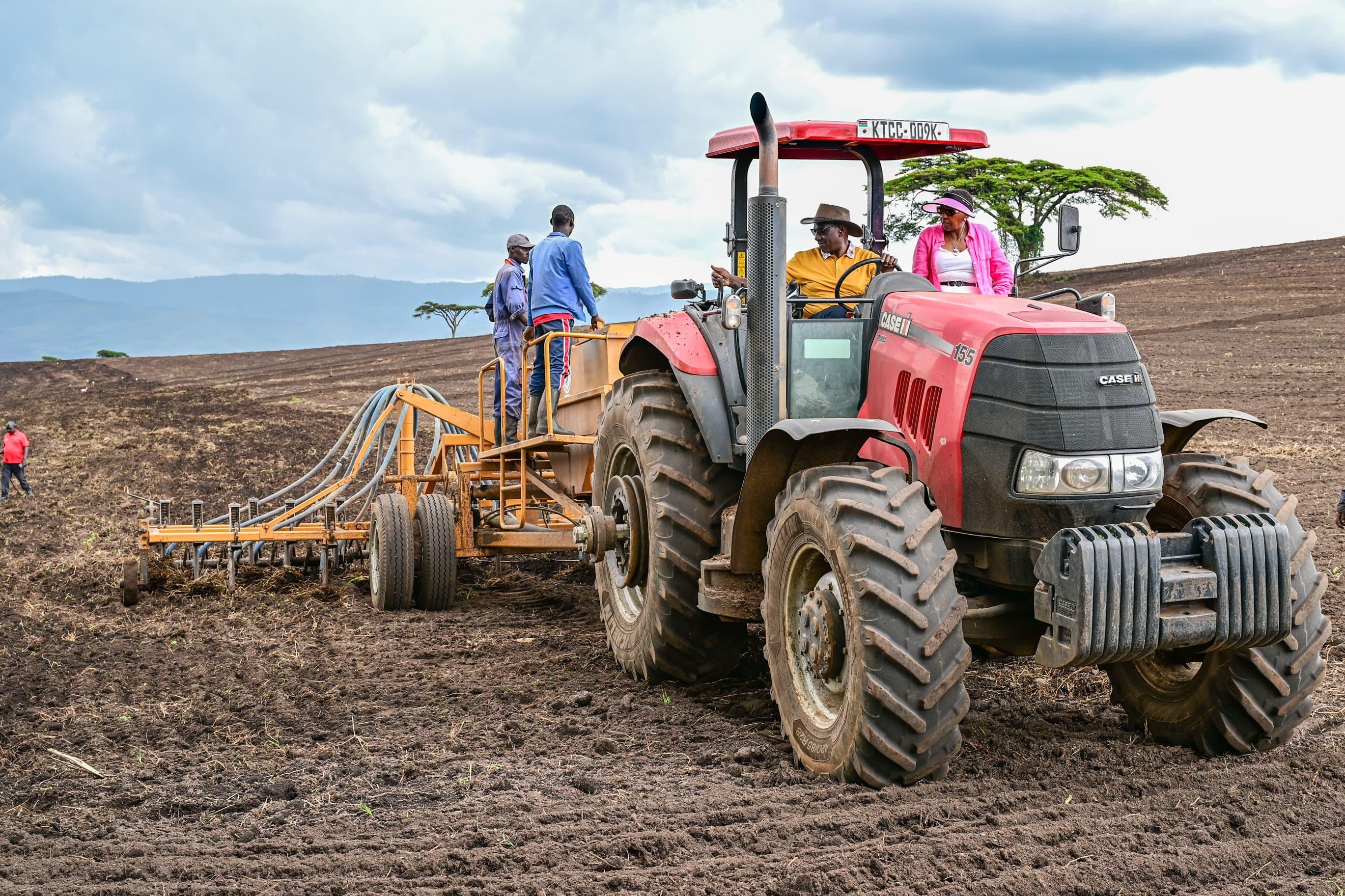 [PHOTOS] Ruto shares a glimpse  into his farming  passion