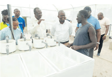 More fish from Lake region as hatchery set up in Kibos
