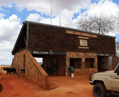 Family of four goes missing in Tsavo East Park