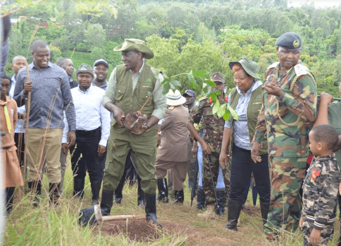 Ruto’s 15bn trees initiative misses target amid big-money controversy