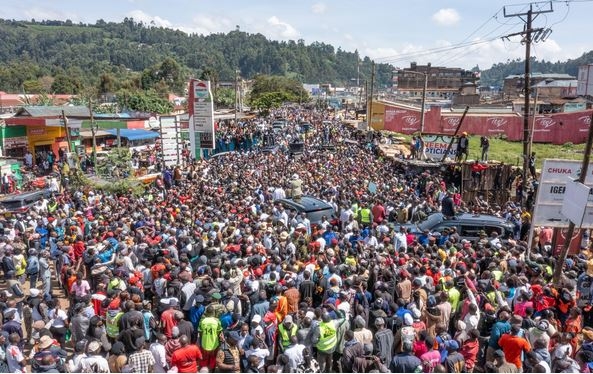Mambo ni matatu! Ruto warns miraa cartels