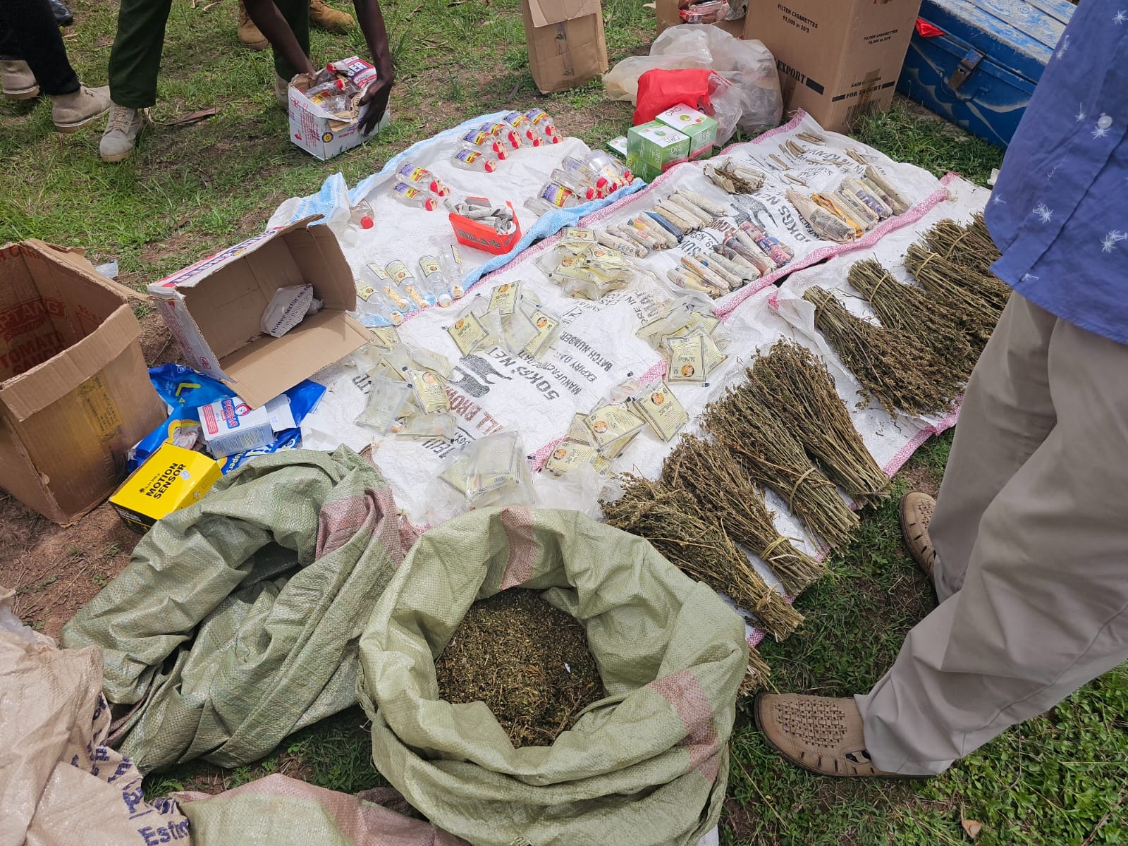 Nacada seizes drugs and illicit liquor worth Sh2.9m