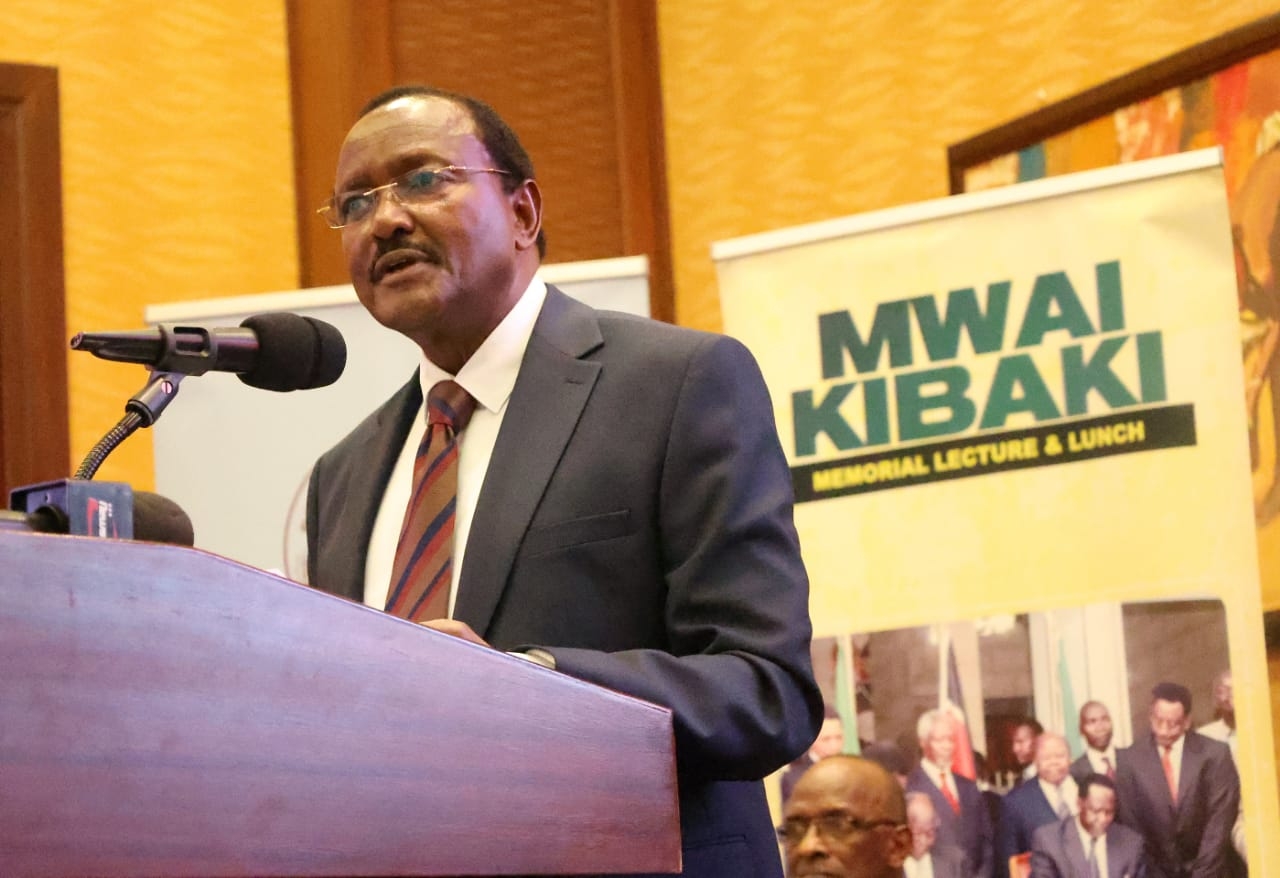 Kalonzo: We'll continue to honour Kibaki for new constitution