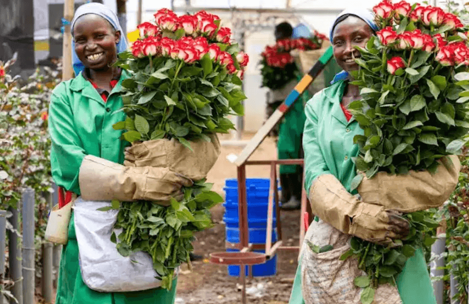 Kenya's flower sector is ready for new EU's standards - Kagwe