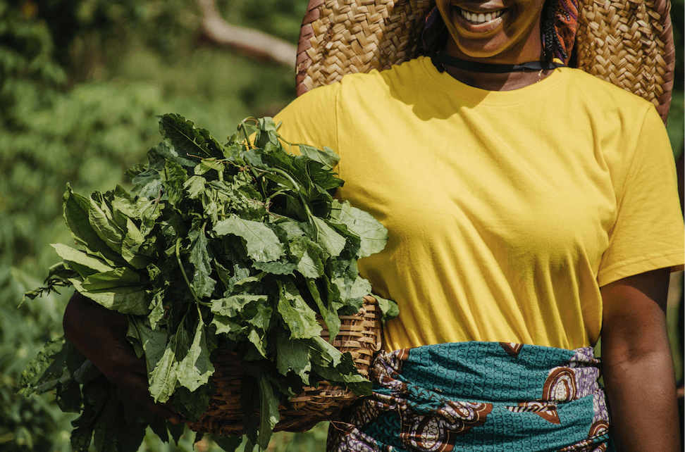 Kenyan women dealing in herbal medicine get support