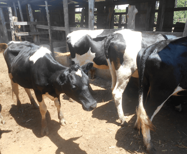New plan to empower farmers in tech, market access