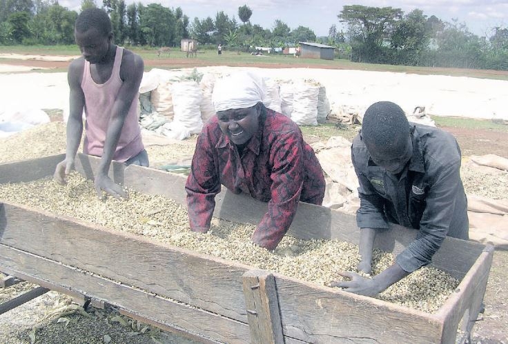State’s shift to subsidised production boosts economy