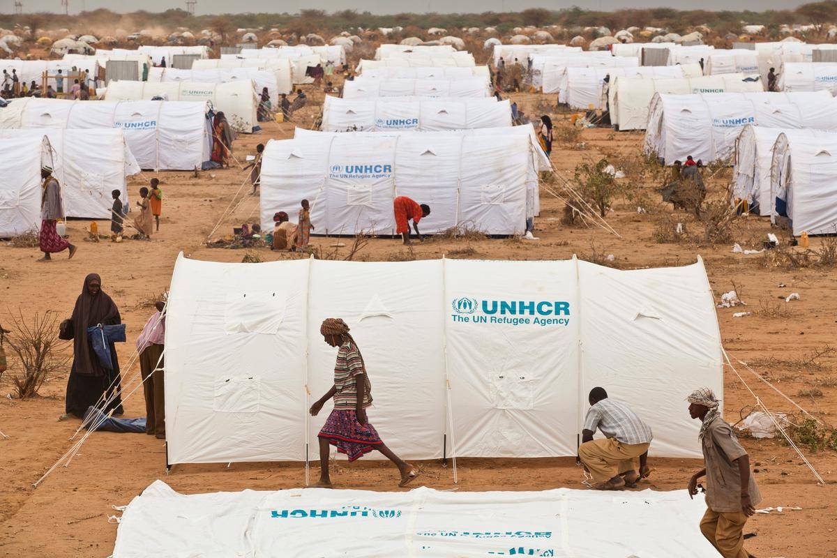 Experts seek solutions to drive change for refugees in Africa
