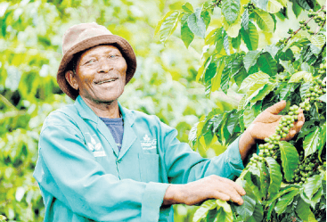 Nyagah: Retiring in farming is fulfilling