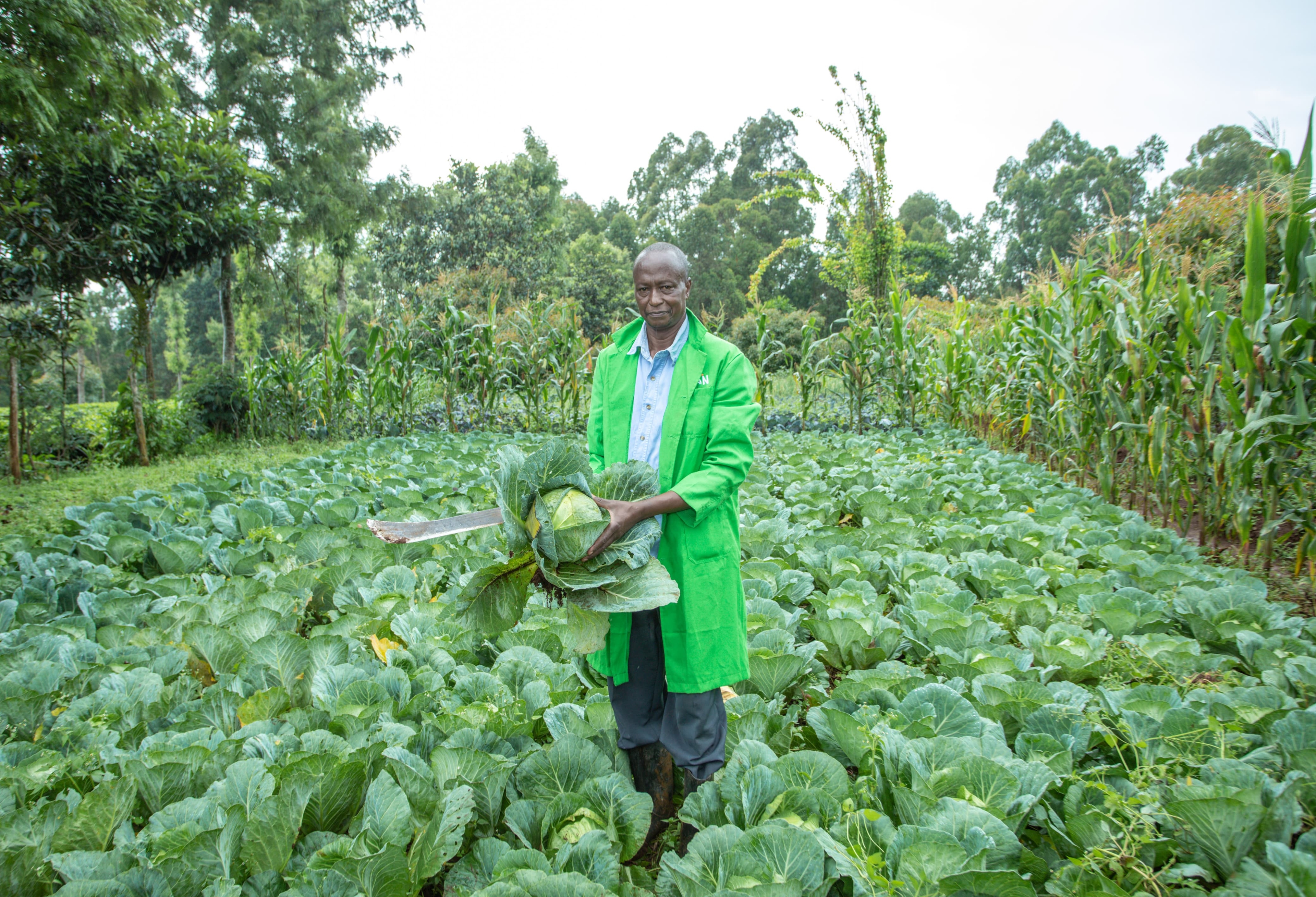 Over 400 Kirinyaga residents reap big from organic farming