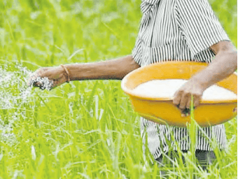 Nanotech fertilisers produce higher yields and healthier soils – experts