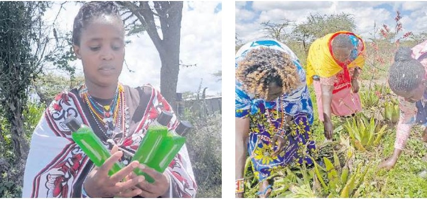 Women dare to dream, turn aloe vera into a thriving enterprise