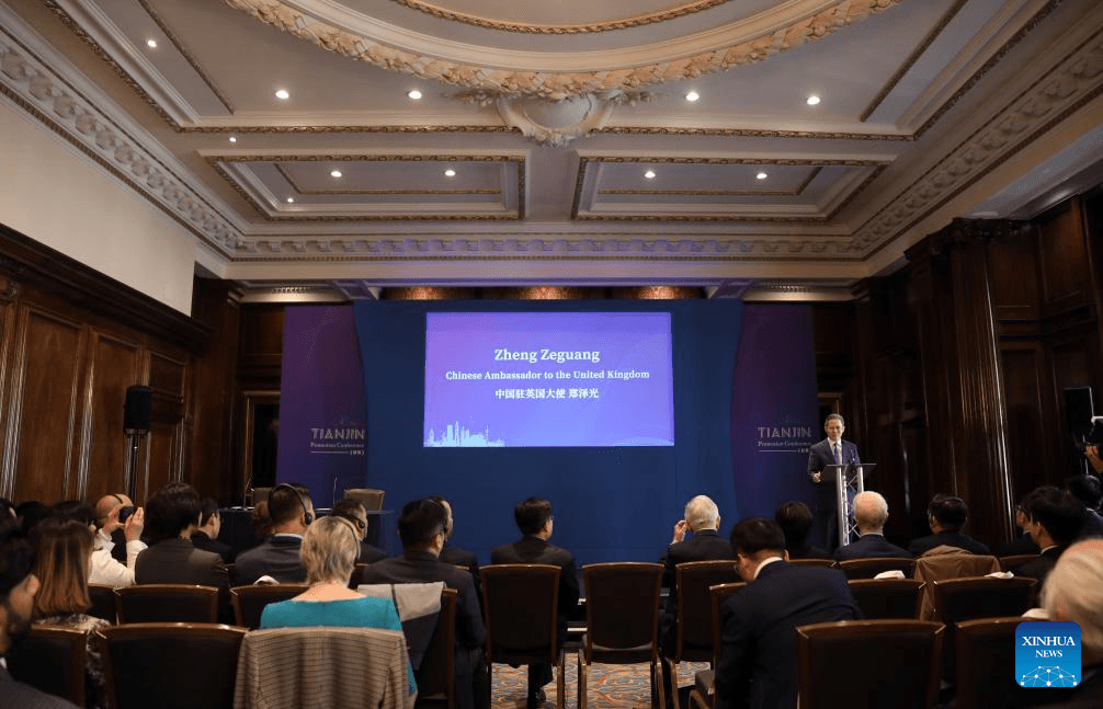 China defends global trade system amid US tariff tensions, says ambassador