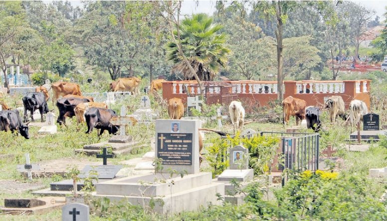 Lang’ata cemetery wrangle disturbs peace of the dead