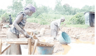 Halt gold mine approval and address report issues – lobby