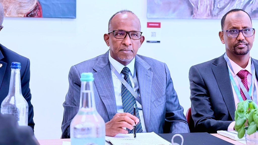 Duale to African ministers: Safeguard health data within borders