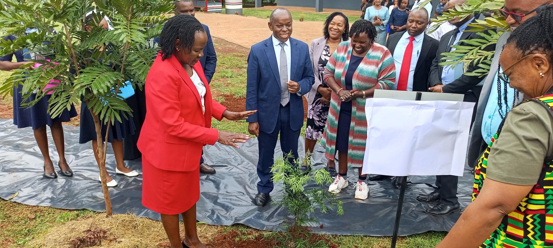 TVETs to plant 3.5m trees to fight climate change