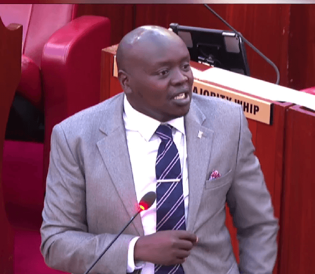 Cherargei to TZ: Help us discipline 'rogue' activists