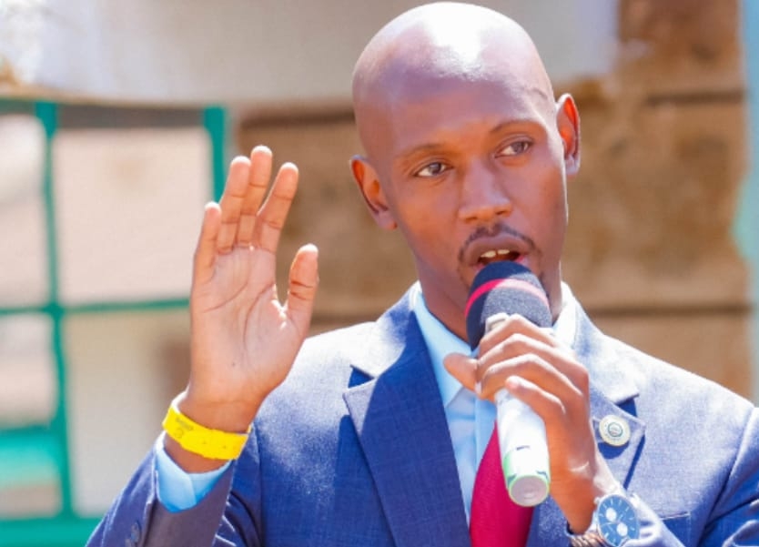 Nairobi developers warned over illegal cutting of trees