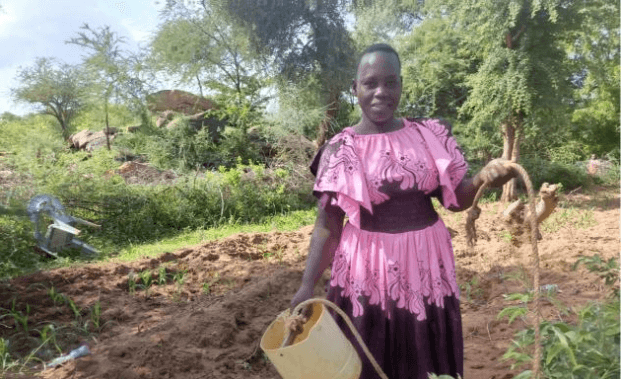 Tharaka farmers get bumper harvests with smart farming system