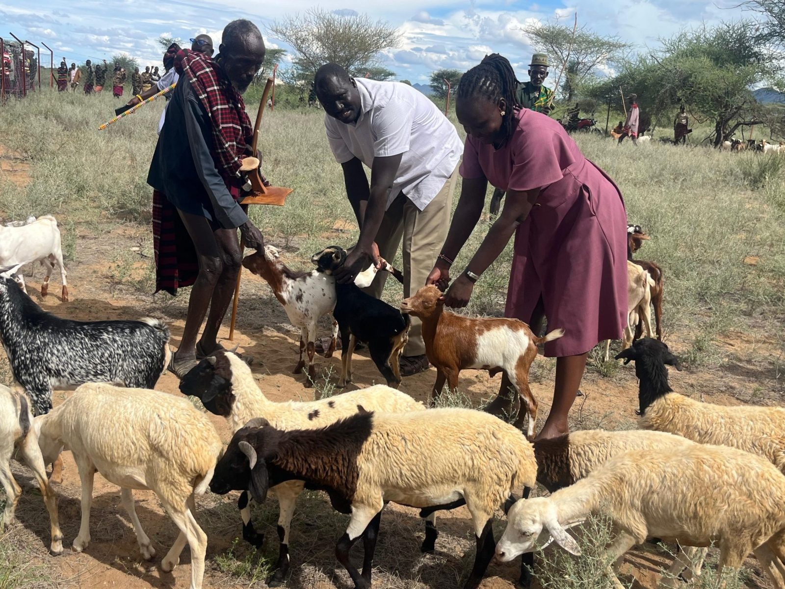 Turkana targets 4,000 households in livestock restocking initiative